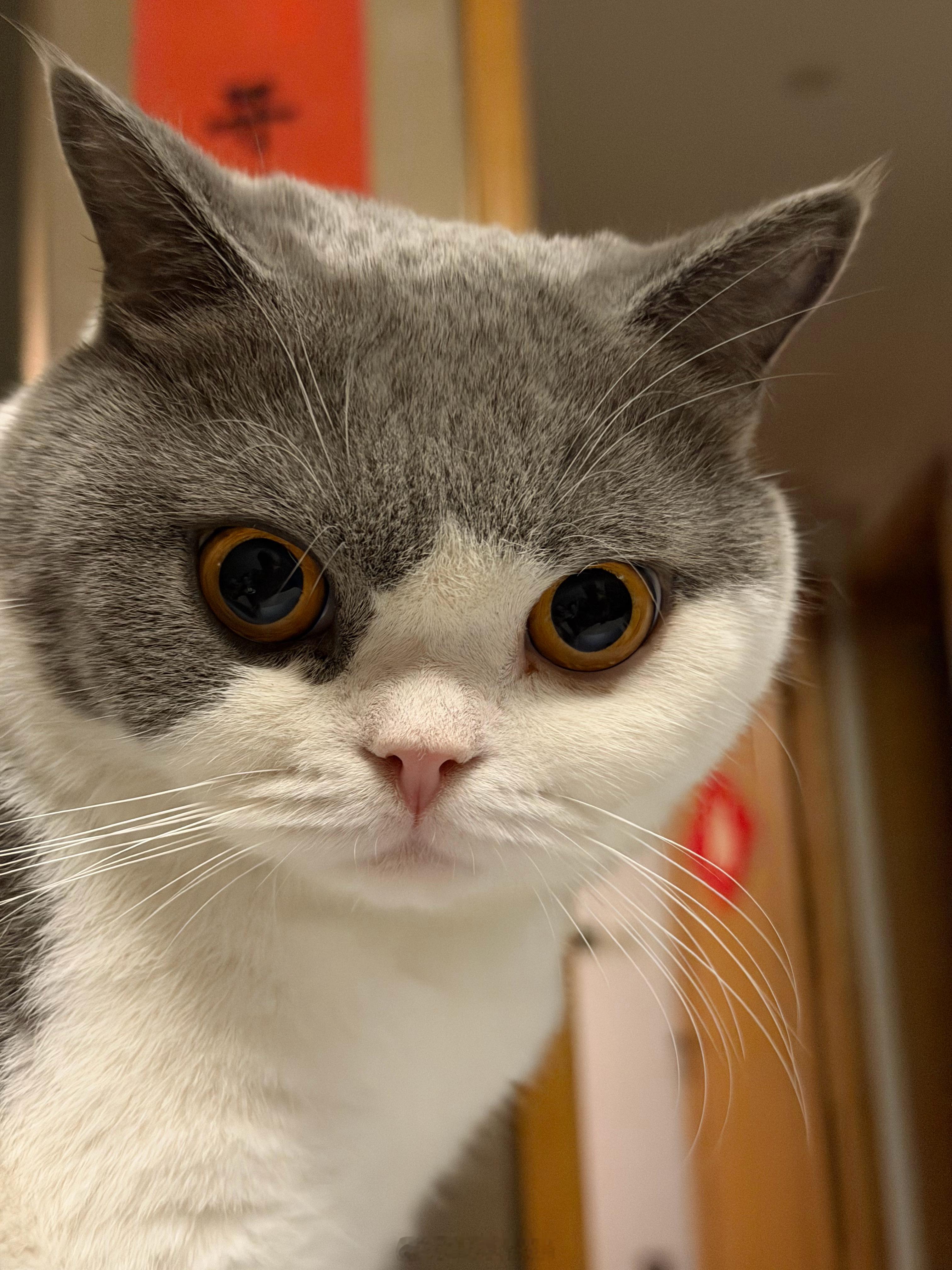 Good也喜欢可口可乐经典美味。 ​​​