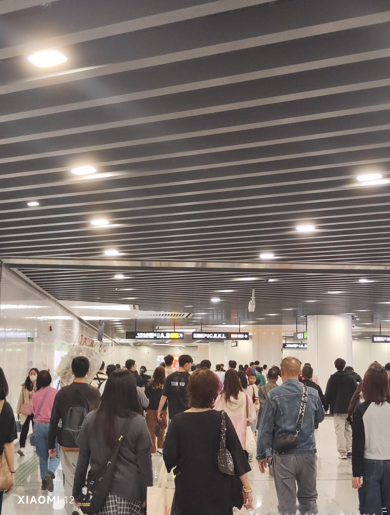 网友：2026.2.14，周六，腊月二十七，情人节，今日亦是广州越秀西湖花市营业