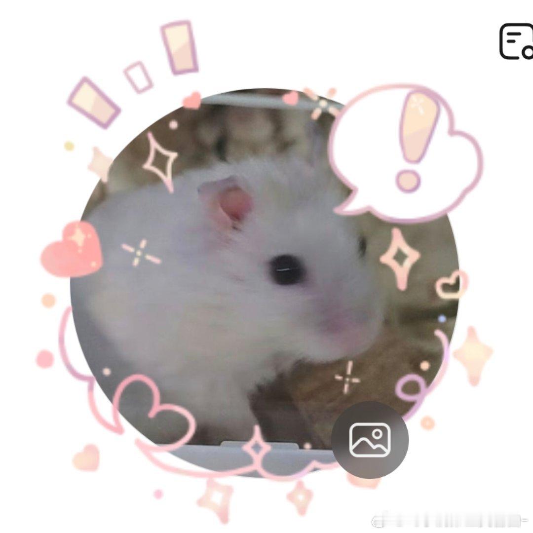 鼠宝妈就这样 