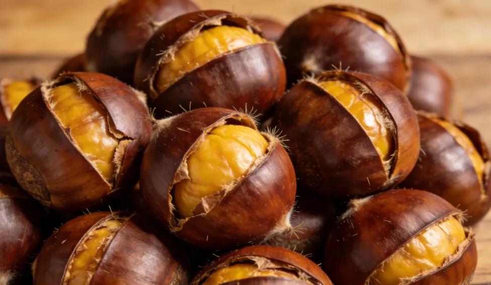 板栗是冬季养生的佳品，中医视其为“补肾之果”，性温味甘，入脾、胃、肾经，能健脾养