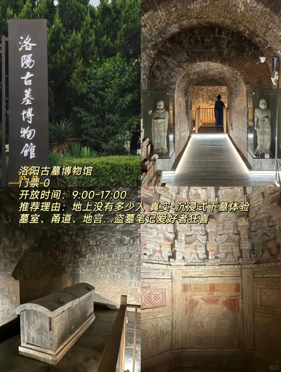 中秋节来洛阳旅游必看的旅游攻略🔥