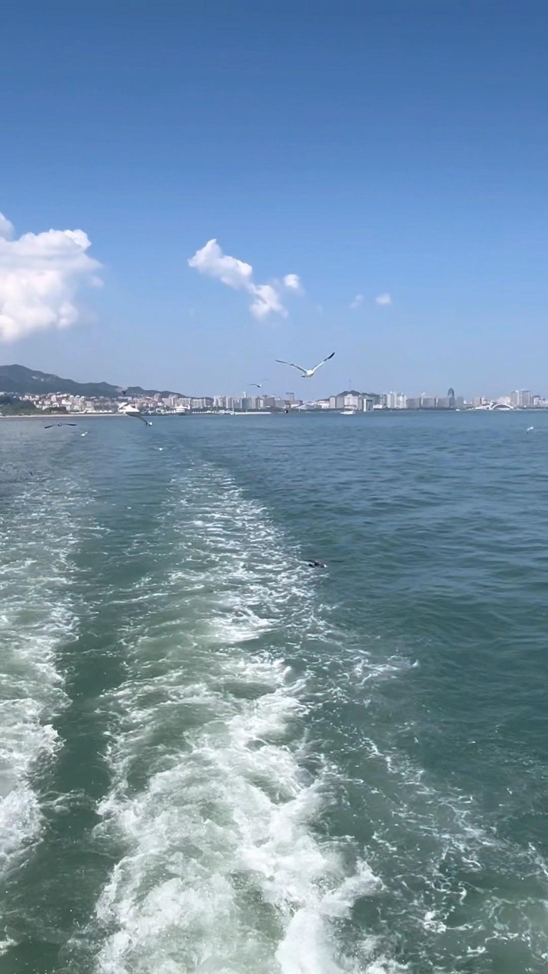 很多年轻人之所以迷茫、失败 是因为他们没有意识到 学校教的东西远不够现...