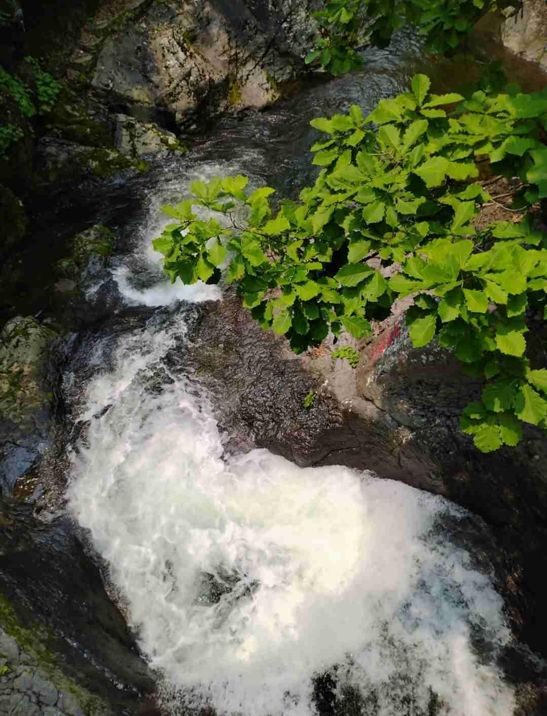 我的今日状态：😁轻松愉快
我这里的天气：☀️晴天

今天天气很暖和，出去溜达一
