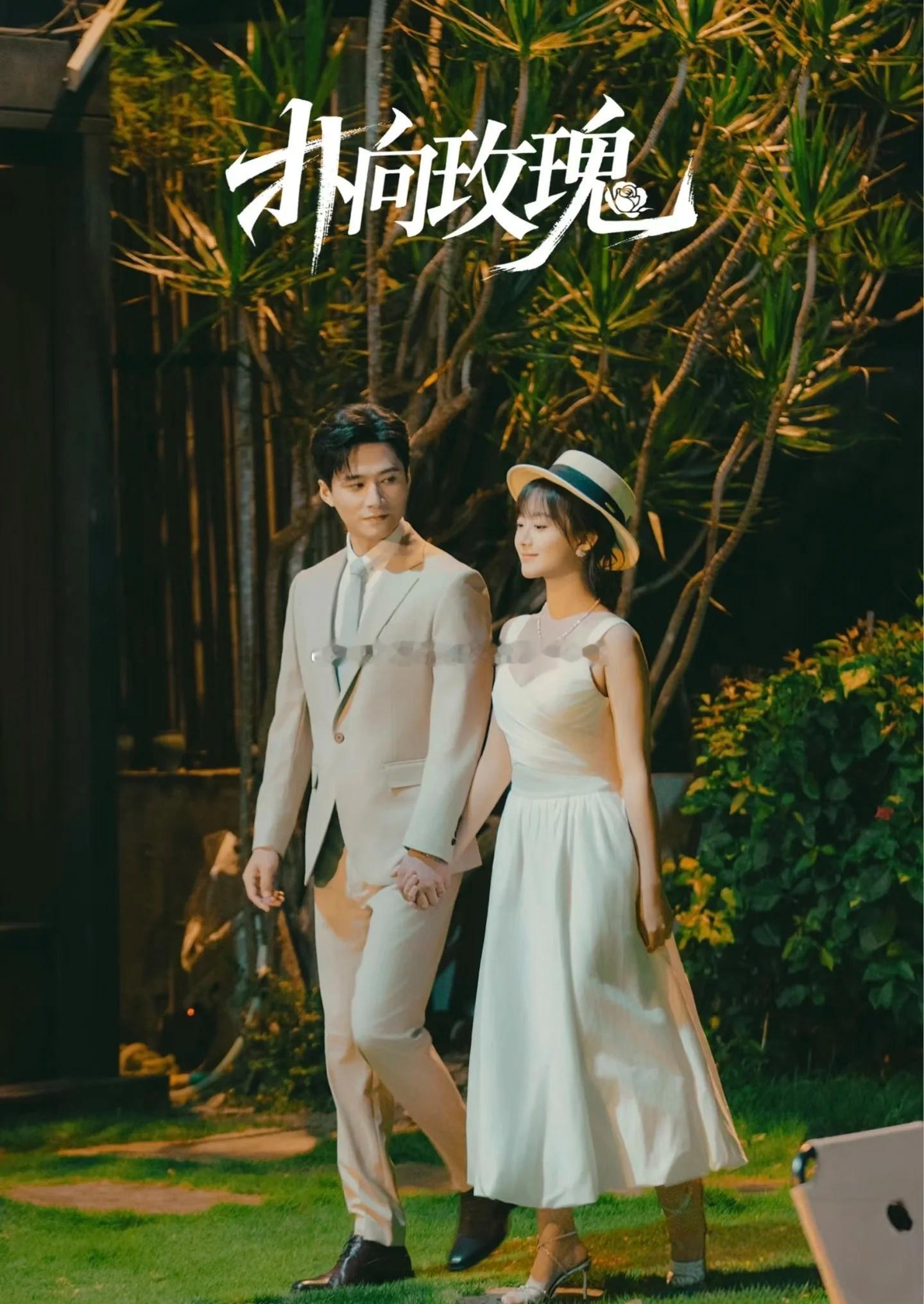 短剧 第25部：《扑向玫瑰》侯呈玥✖️王皓祯。好看！细水长流果然是王甜甜的统治区