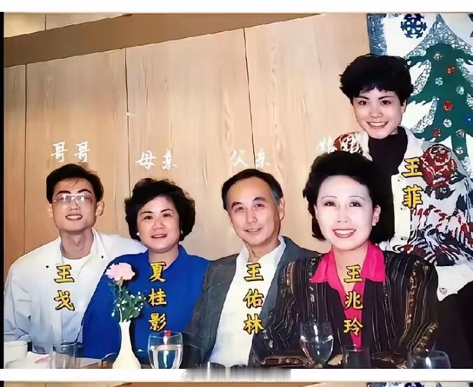 天后王菲，饱满如月，清莹如玉，一家人中长得像谁？ 