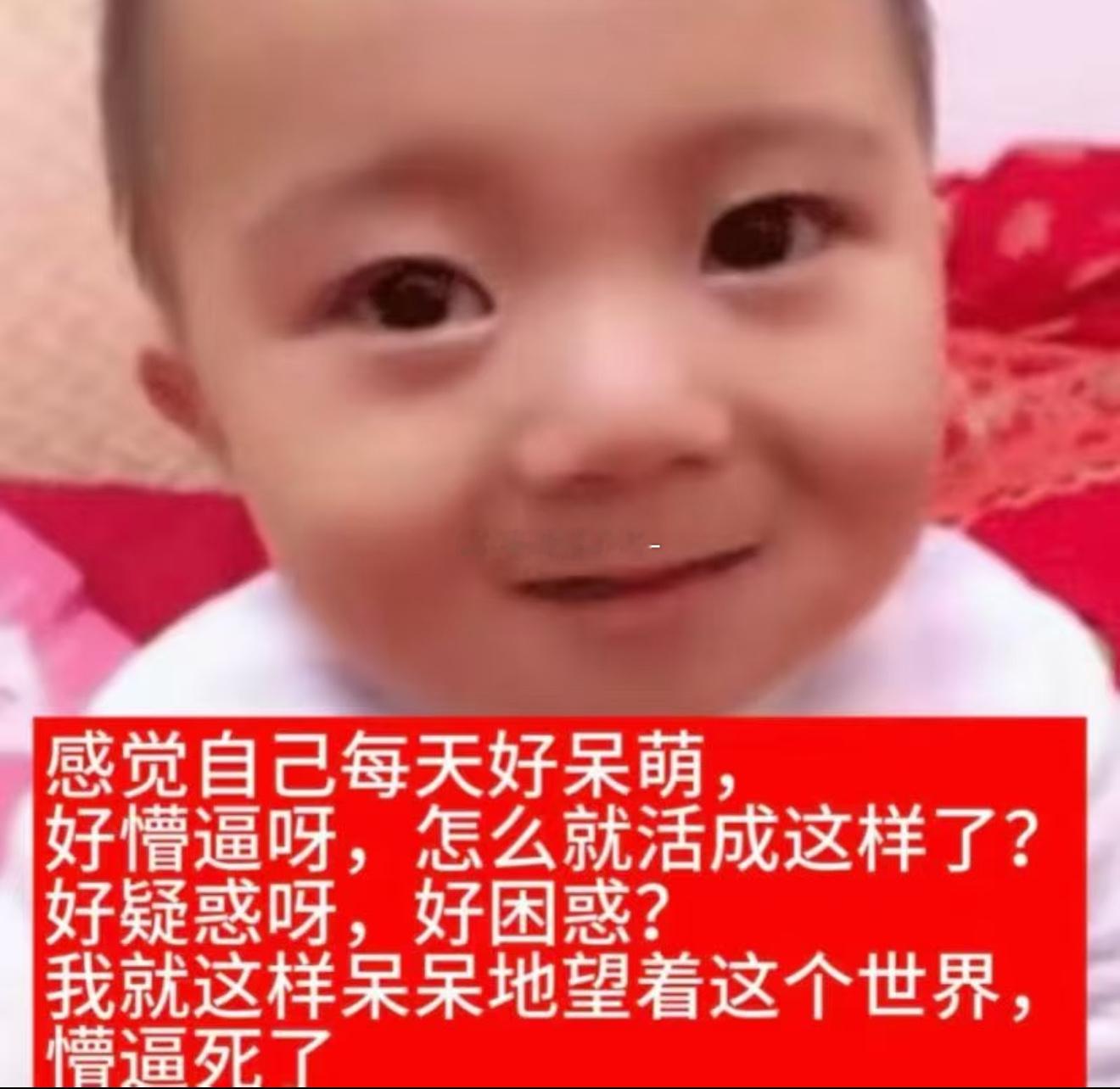 能不能一天更完 我这边有点等不及了 