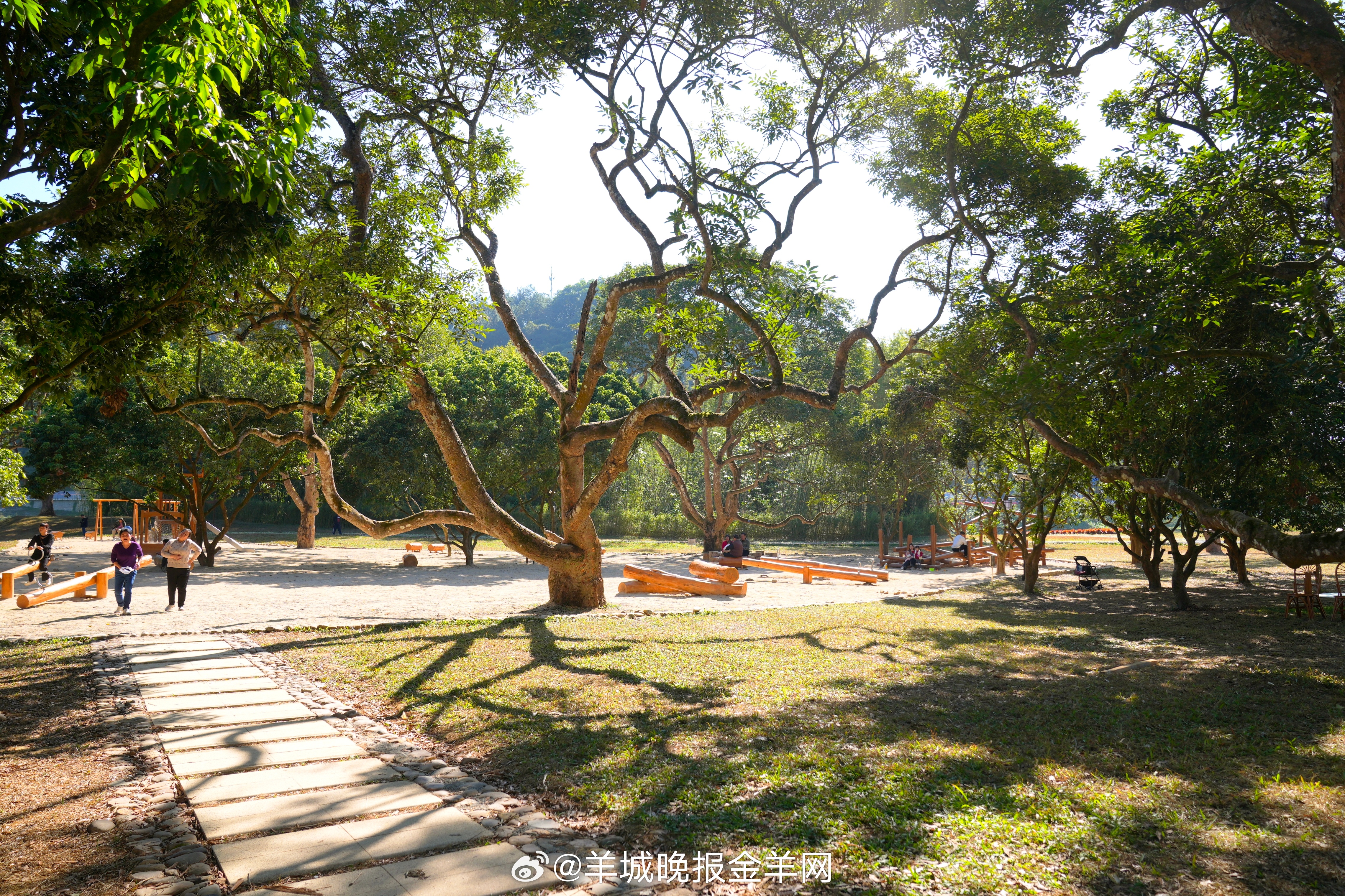 #早安#为眼前的每一分每一秒去努力，专注内心的丰盈，把握当下的幸福，才能拥有美好