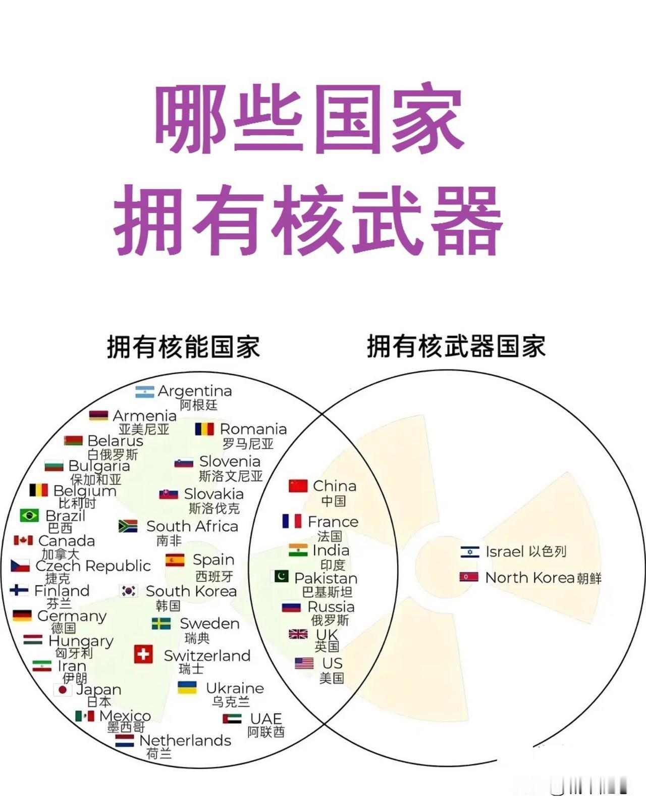 印度：拥有核武器；
巴基斯坦：拥有核武器；
朝鲜：拥有核武器；
以色列：拥有核武