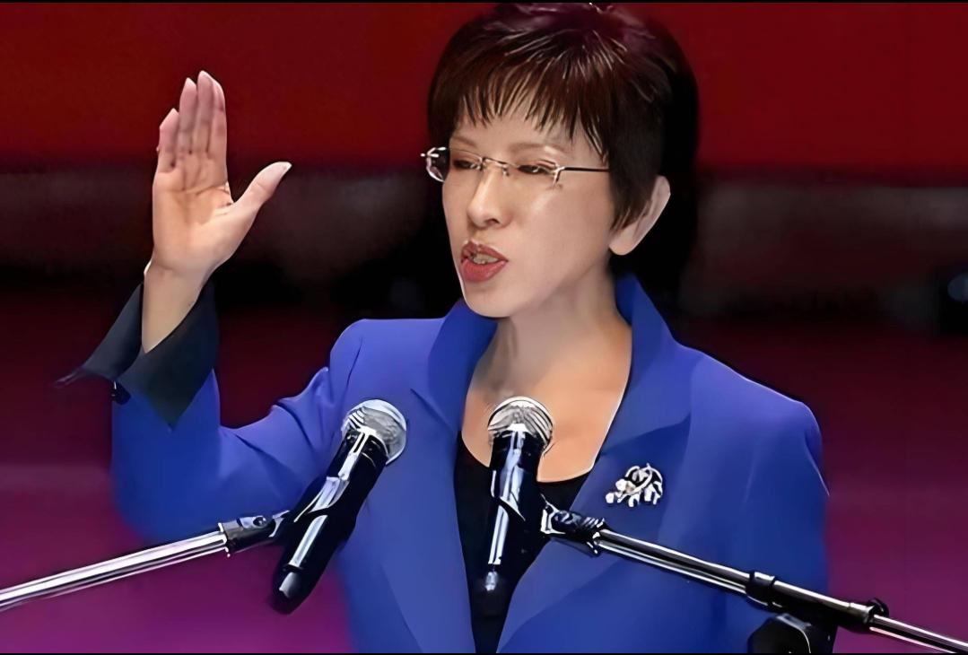 洪秀柱严斥日本右翼涉台谬论

日本右翼政客高市早苗的涉台不当言论引发两岸同胞及国