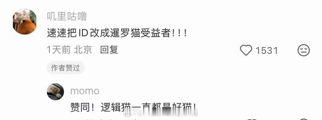 猫帮我提了离职让我们一起大声说：谢谢小猫！！ 