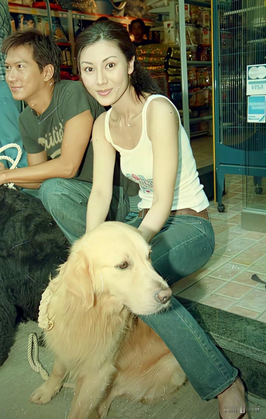 这张照片出自2001年的香港奇幻喜剧《完美情人》，由张家辉、李嘉欣主演。片中，一