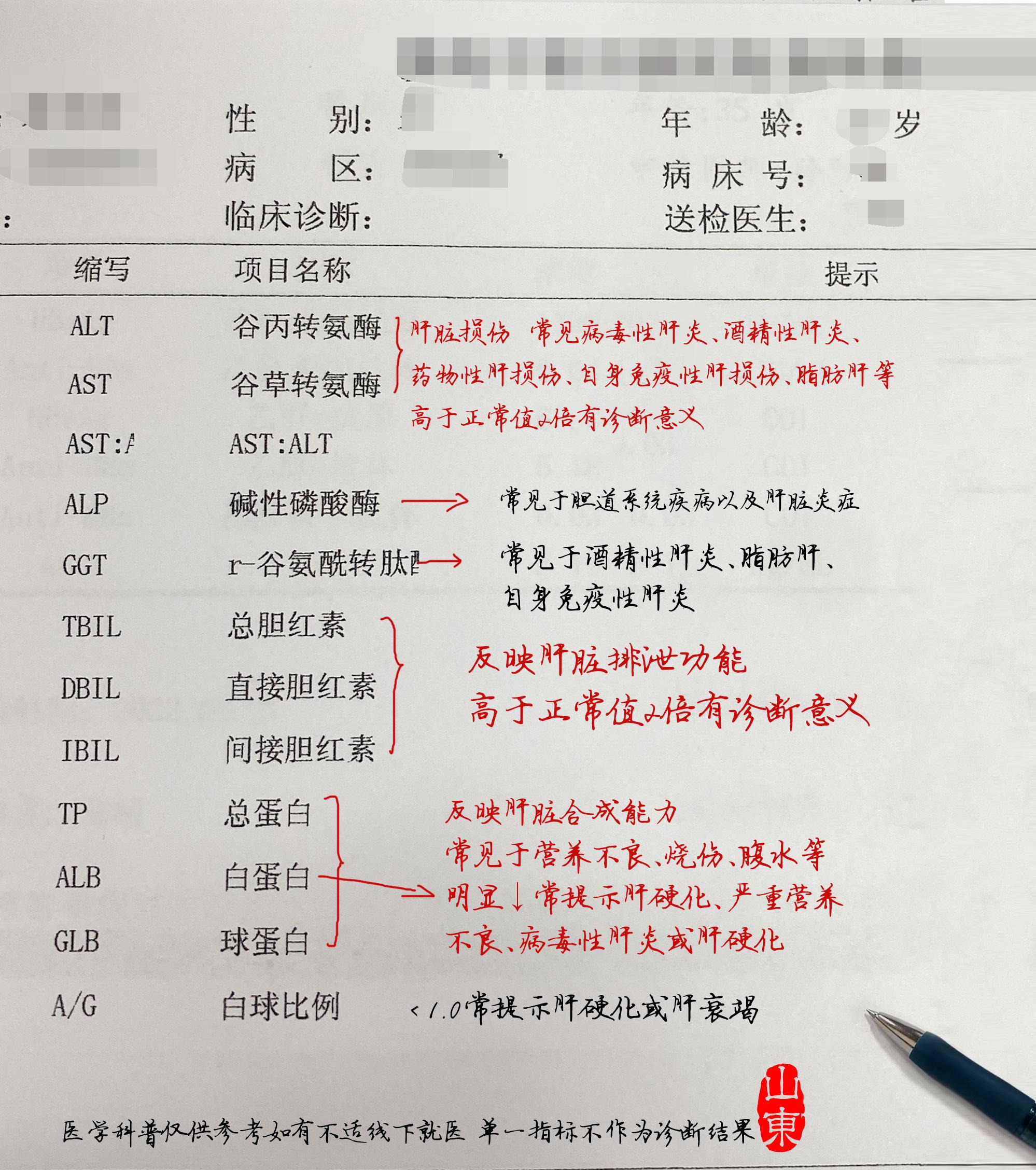 如果你的肝功能上这几项指标有箭头，可能是你的肝不好了，建议抓紧检查!
1.转氨酶超过正常值2倍 (可能有恶心、乏力)
2.胆红素超过正常值2倍 (可能有黄疸)
3.白蛋白低于35(可能有下肢浮肿、腹水)
3.转肽酶异常 (经常喝酒的人要注意)
4.碱性磷酸酶150 ( 自免肝患者可能会升高) 根据《2022年慢乙肝防治指南》进行指导。
