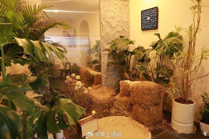 一间青年咖啡屋激发台州乡村活力长屿硐天旁，一间乡村咖啡屋悄然出圈。老房子经过改造