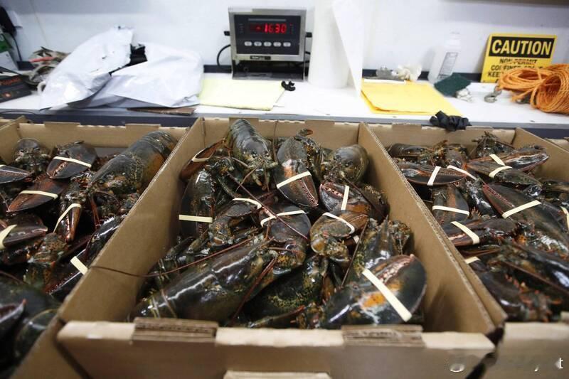 【运往Costco的活龙虾途中被劫 货值近40万美元 惊动FBI介入调查】海外新