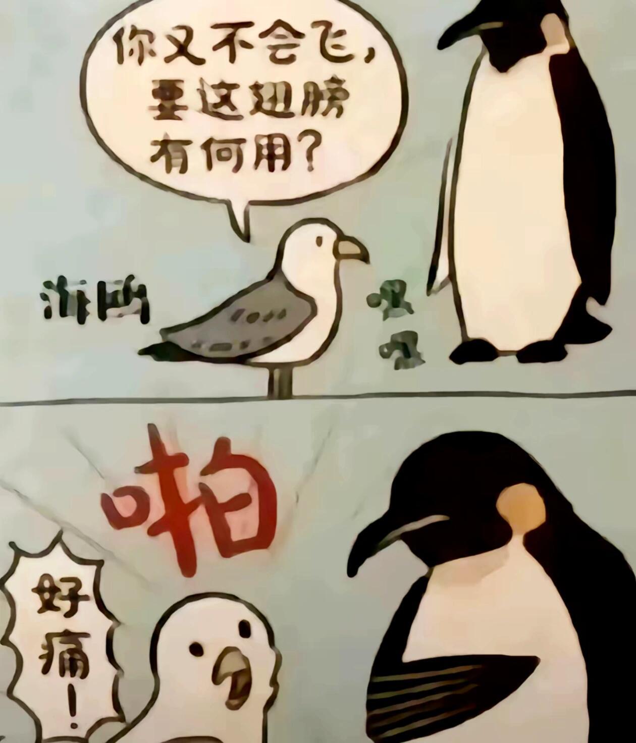哈哈哈哈哈哈哈哈哈哈哈哈哈哈 