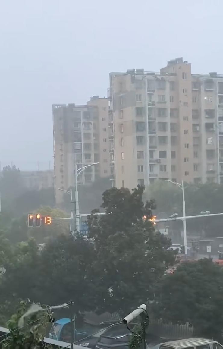 南京夏天的雨，简直就是个任性的“调皮鬼”。白天还晴空万里，阳光晒得人直冒汗，傍晚