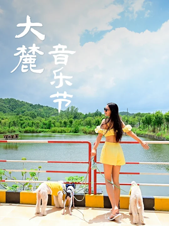 大麓音乐节住这！10 分钟直达释Fun多巴胺
