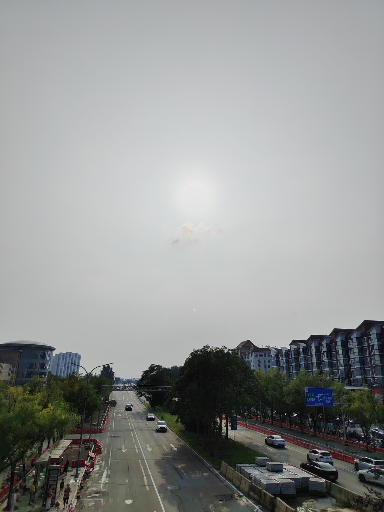 蒲公英成熟后，没有抱住母株不放。风一来，它松开种子，任它们飞向远方。有的落在石缝