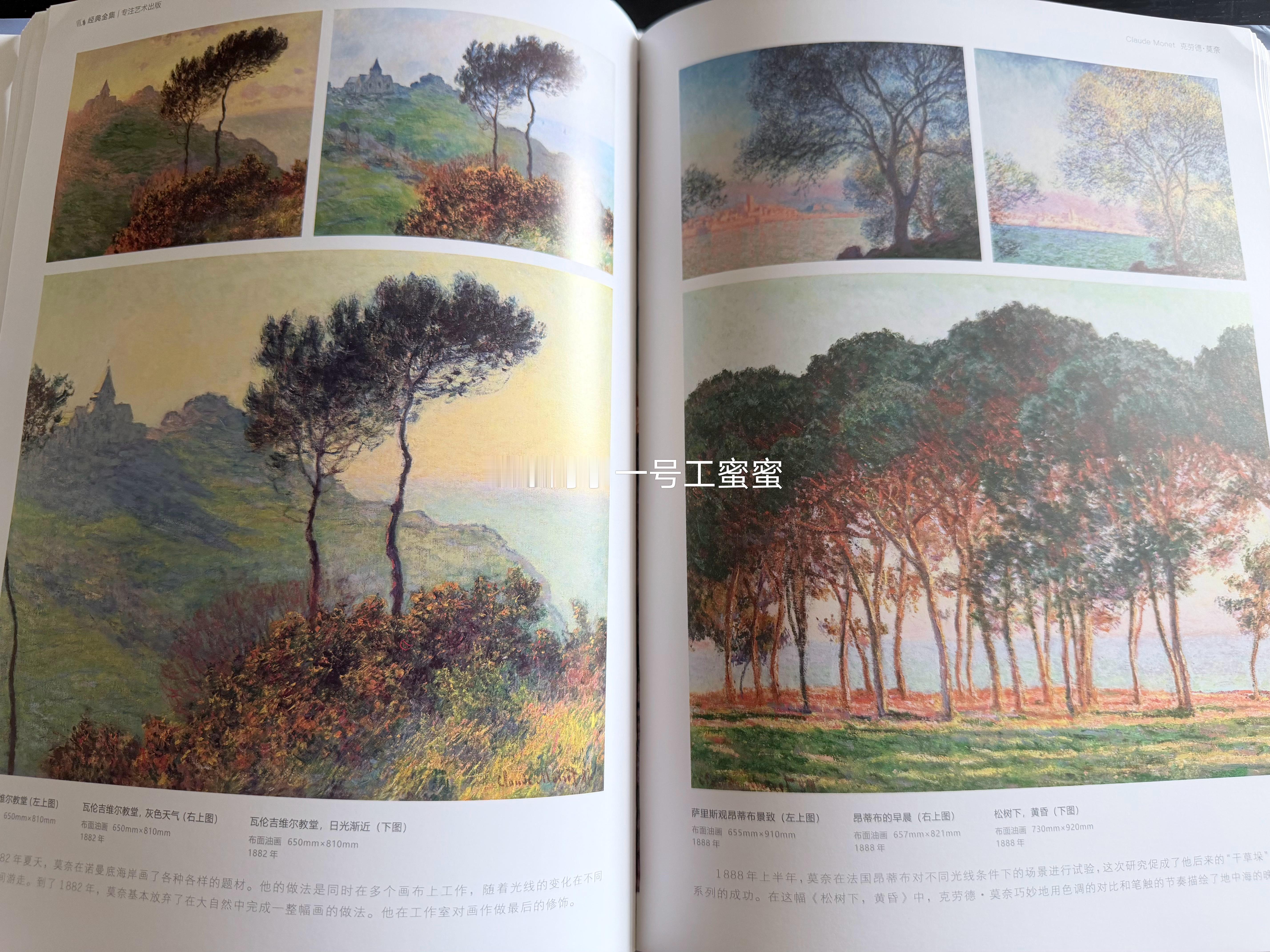 还没看到睡莲系列，就已经入迷了 