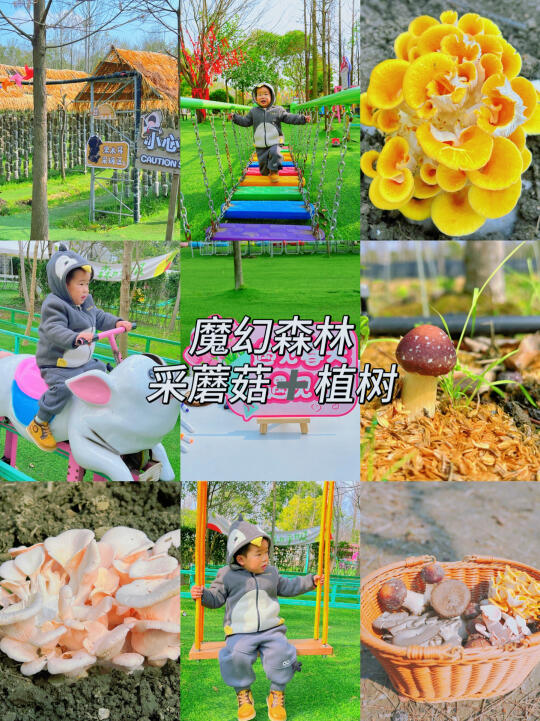 去班味❗️我在上海上春山｜闯进宫崎骏的漫画