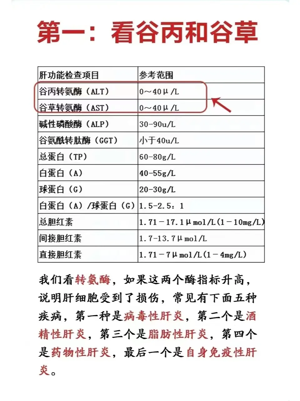 肝功能检查单怎么看？重点看哪几项？
