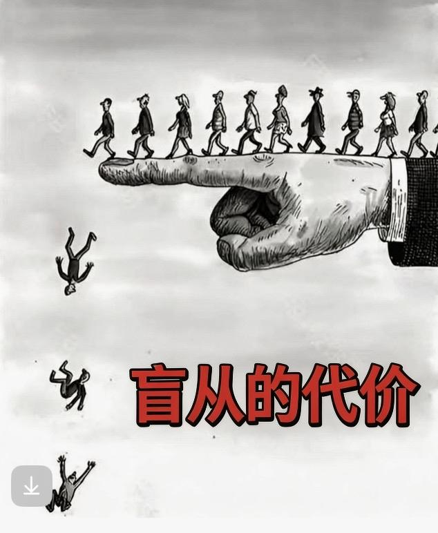 盲从的代价

人一旦盲从，
最先丢掉的不是脑子，是自己。

盲从的代价是什么？