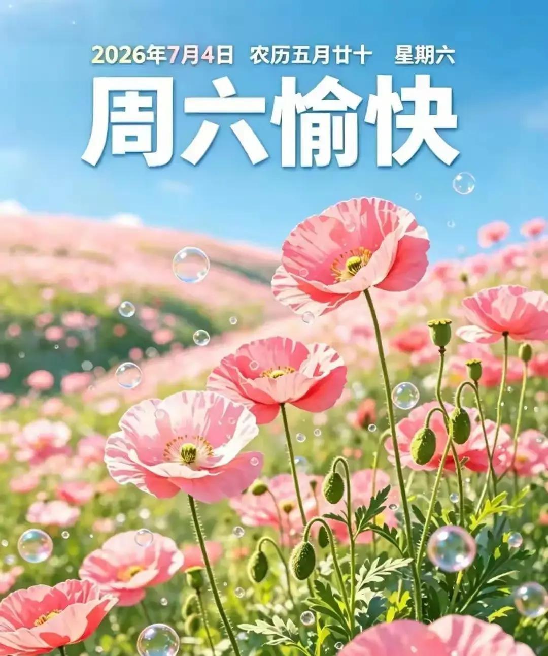 周六花开正盛，愿你迎着清风把好运一并收下。

七月的天，像被水洗过一样透亮。晨光