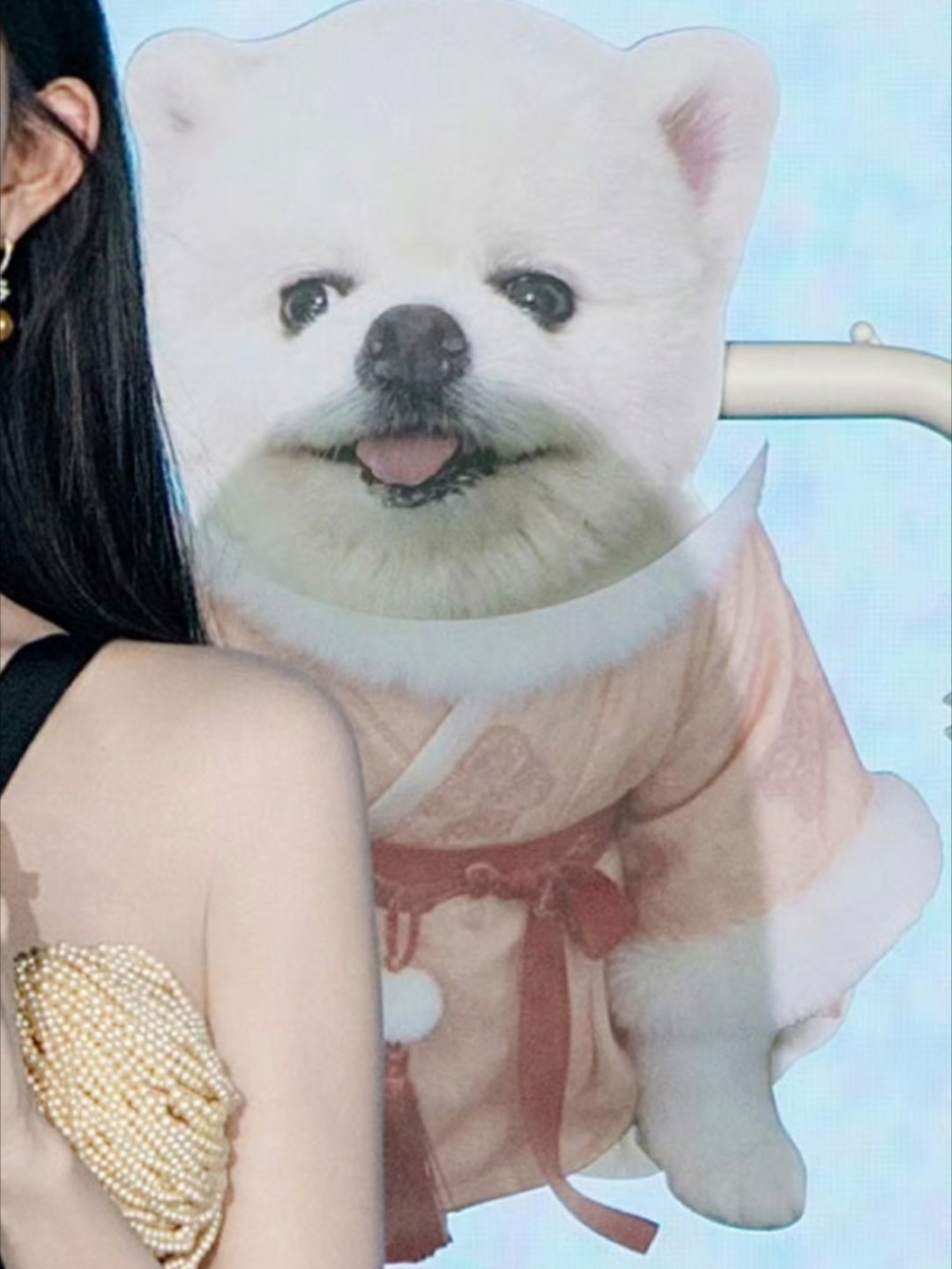 这一套衣服已经有点标志性了