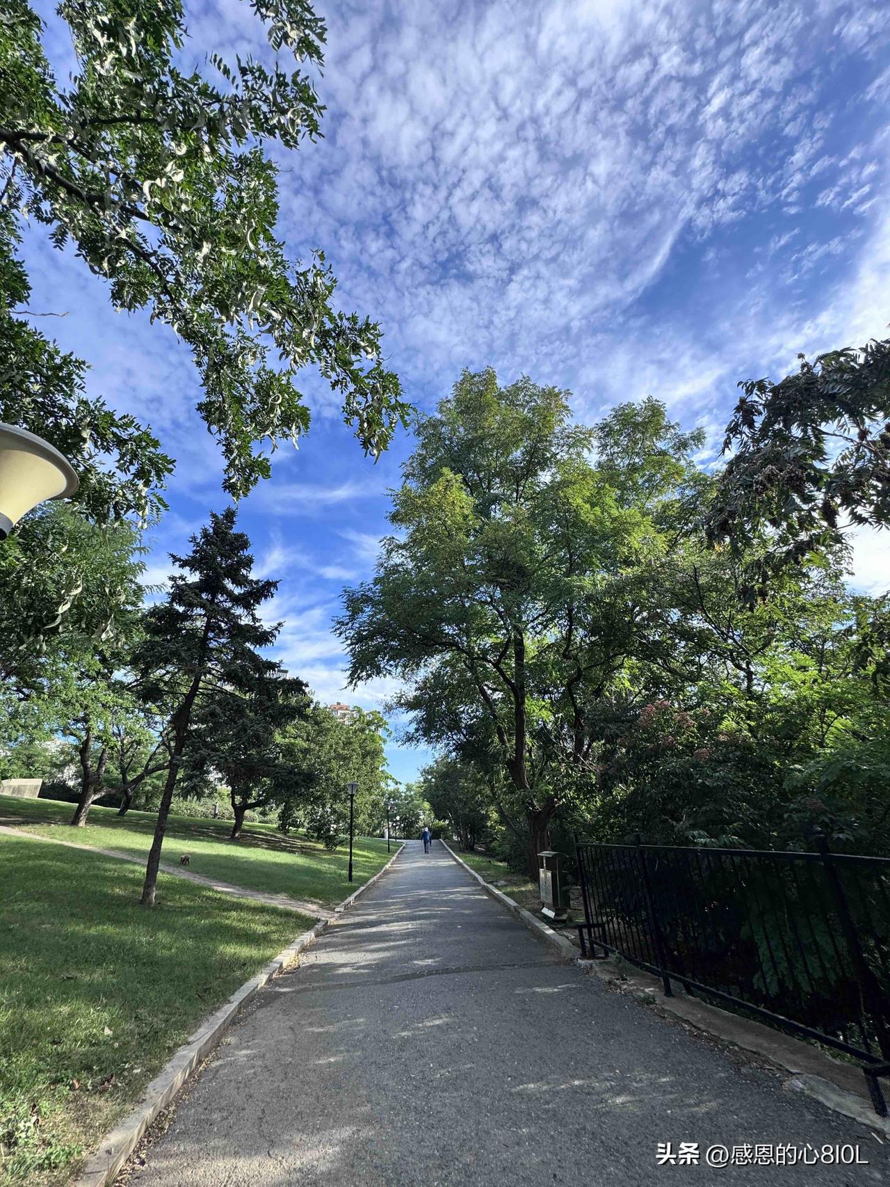 留意到有个叫苗京京的人，今天吐槽儿媳，明天吐槽亲家公，再不就吐槽身边的亲朋好友。
