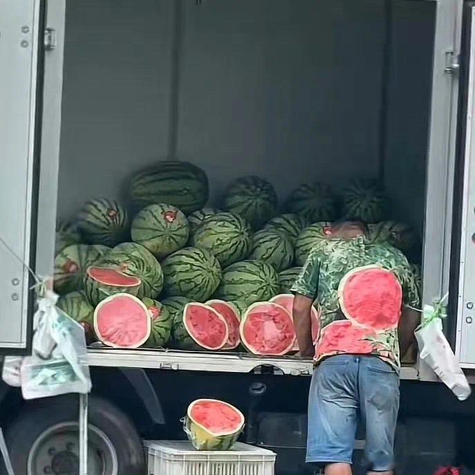 西瓜摊主的工作服给我看晕了 迷惑行为大赏 ​​​