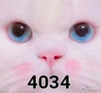 4034点不破，重个股机会，不破位不卖，冲高落袋为安，只能这样思维模式～～～收到