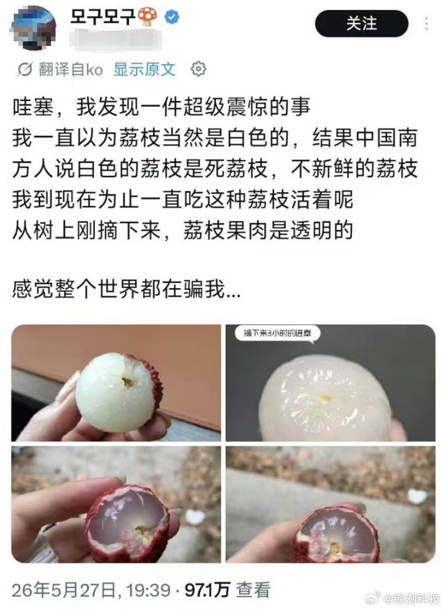 原来韩国人没吃过新鲜活荔枝，一直吃的白色死荔枝。 