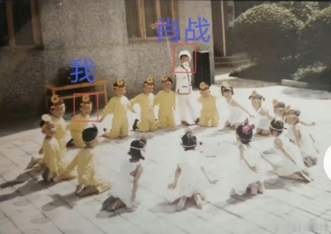 肖战幼儿园时期的照片过于萌了 是等比例长大的战战哟[园丁][园丁] 原来哥从小时