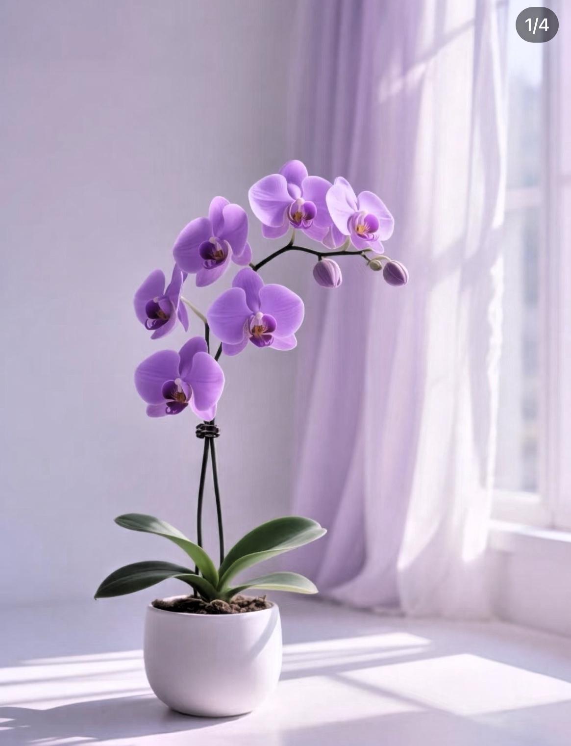 人一旦得势，
不论男女，
三两年就能逆袭大翻身，
获得原来想也不敢想的财富。
