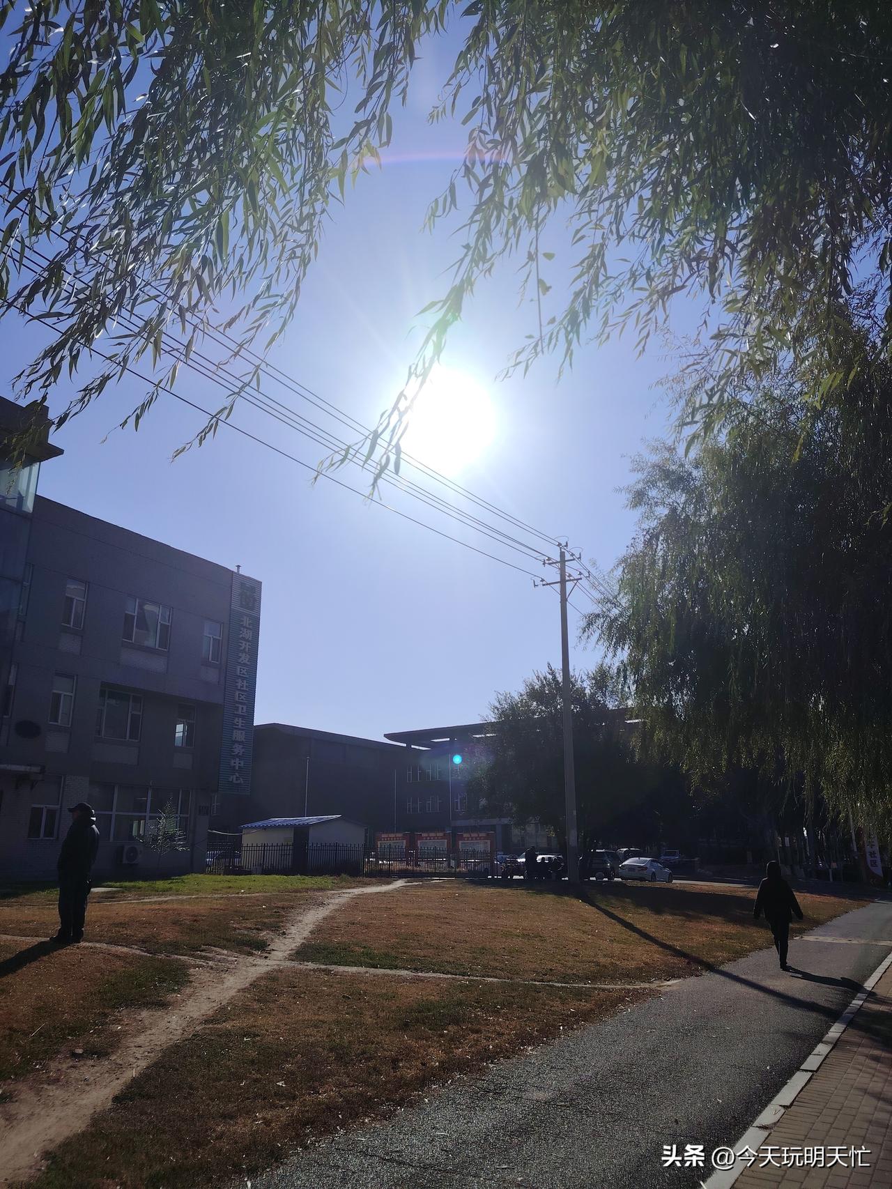 分享手机里的花花草草