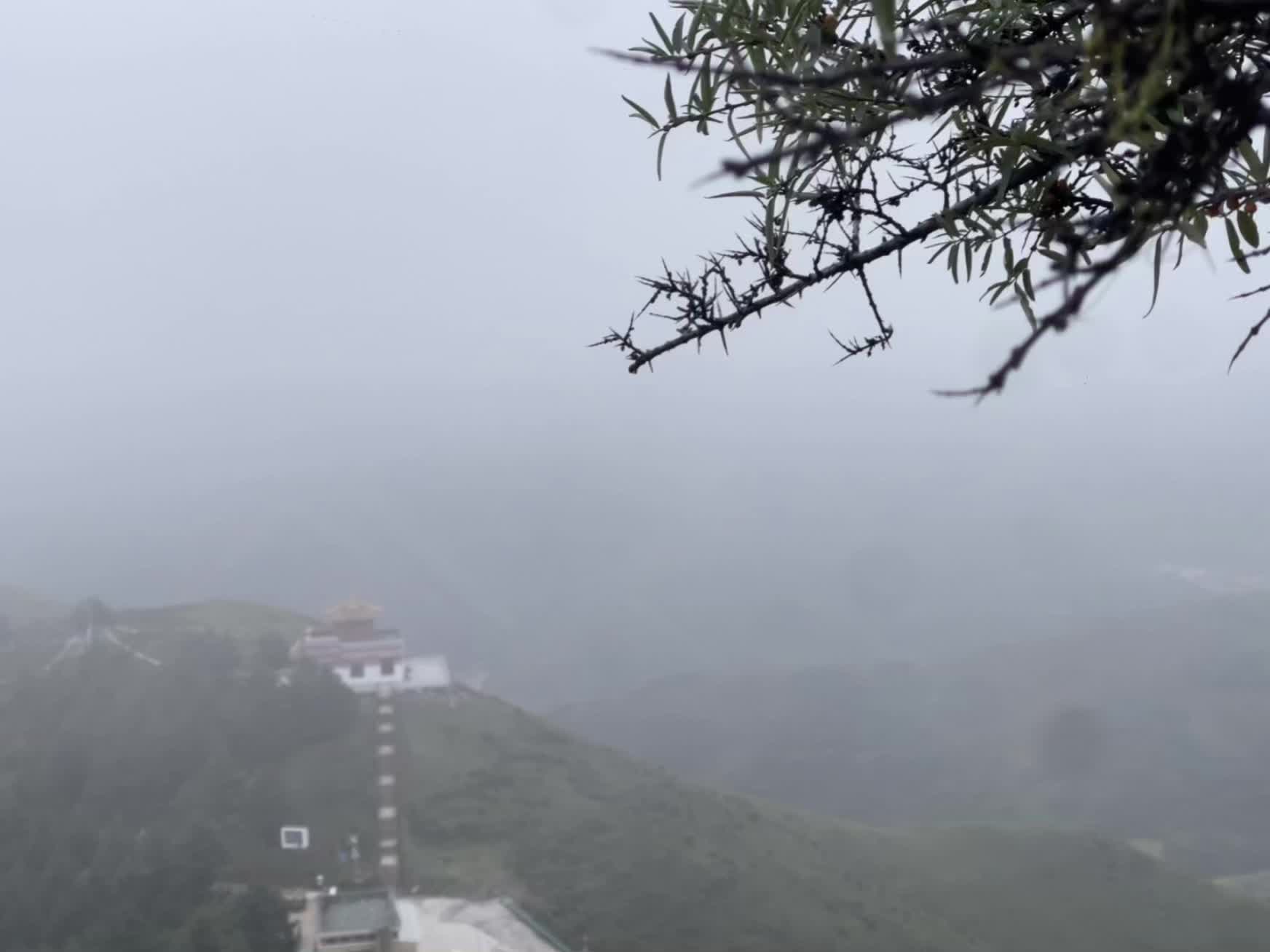 人总是这样 心知肚明还有所期待