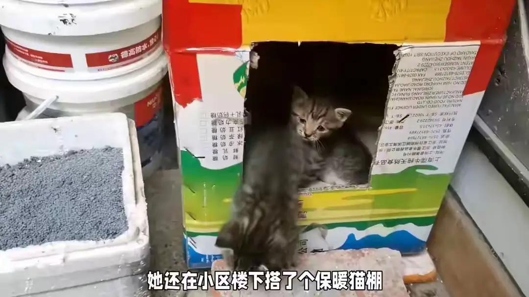 杭州女子下班后忘关车窗，女子取车时看傻眼了这段真实温暖的故事发生在杭州一个普通的