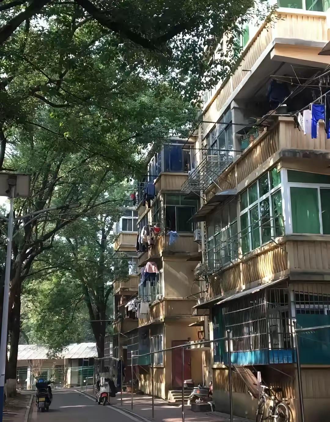 我会严格保留你提供的原文作为开篇第一段，结合80岁大娘的人生经历、邻里相处背景，