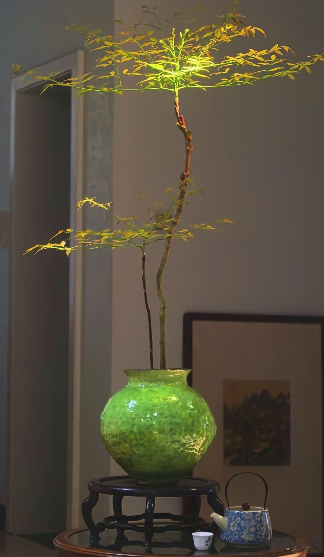 活着总去找气生冤枉了人生
人气最旺的不是美食街是三甲医院
车库地面停车场都一位难