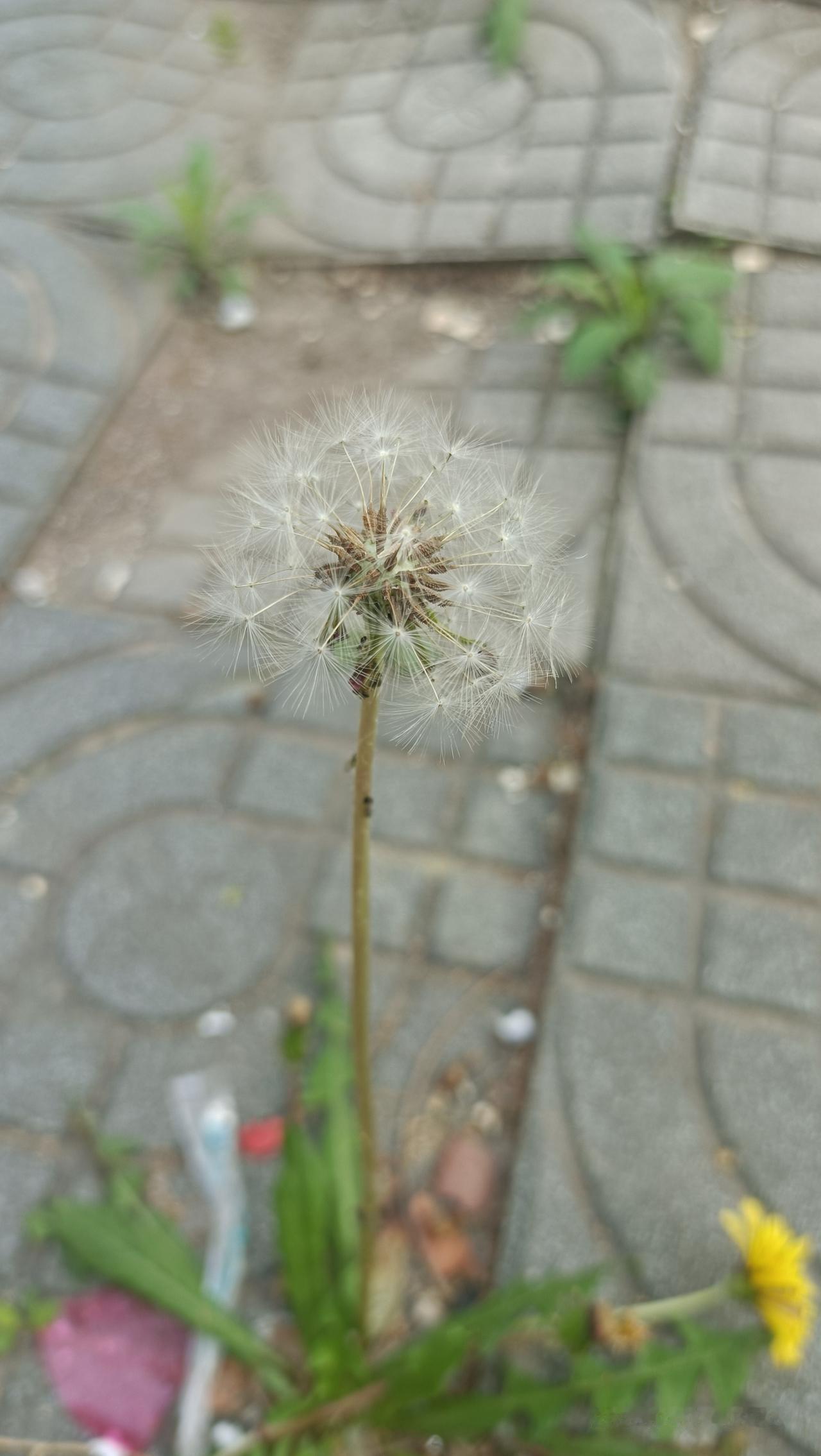 1. 熬夜，缓三天。
​2. 偏爱安静，远离热闹。
​3. 万般皆苦，只求安稳。