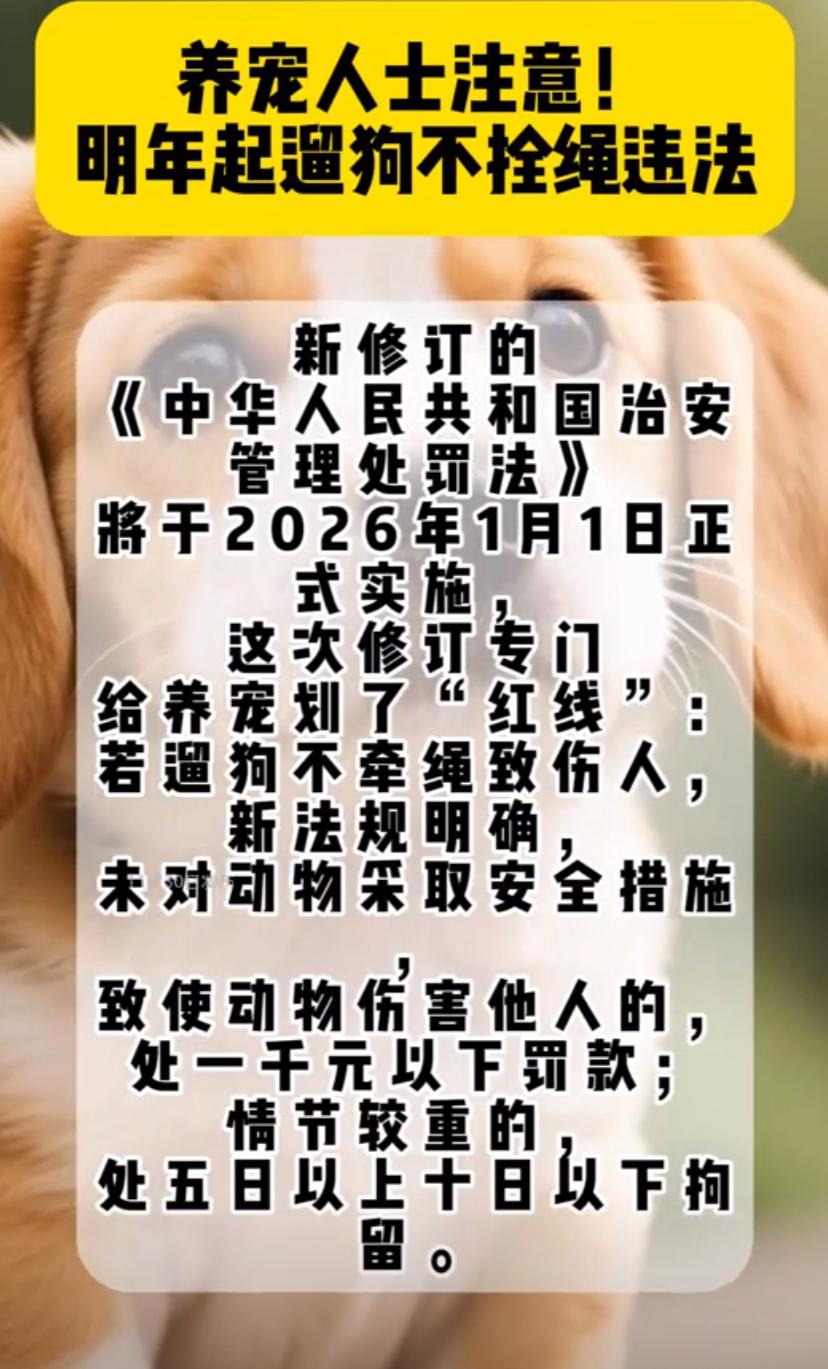 遛狗不拴绳终于“违法”了？网友：以前罚50块算“意思意思”？
2026年起遛狗不