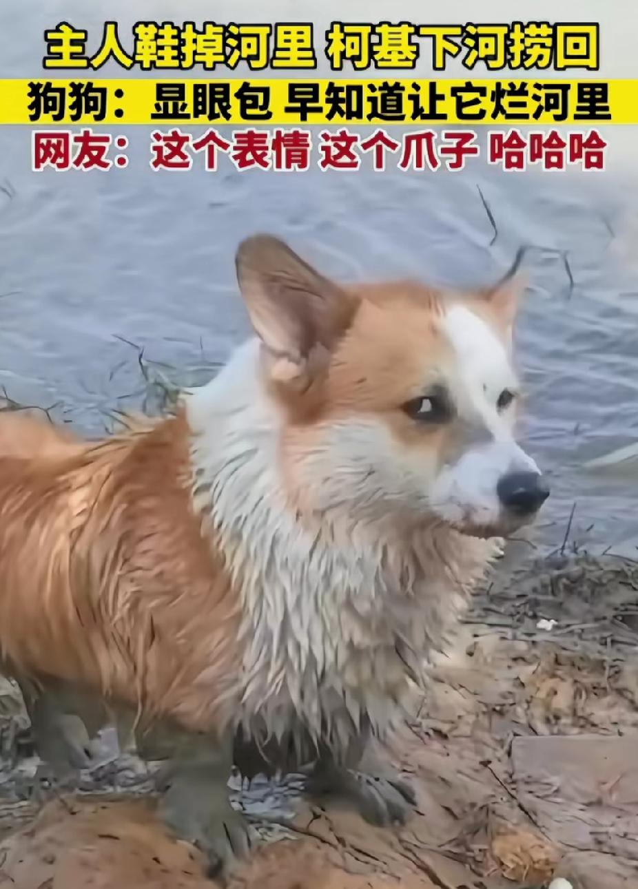 这个眼神里包含了太多：鄙视、嫌弃、生气……哈哈哈，看给孩子都快逼得说人话了[捂脸