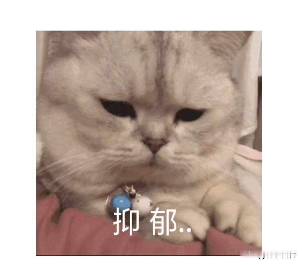 7月28日，朋友刚才打来电话，满肚子的委屈。

她是灵活就业，去年6月满55岁，