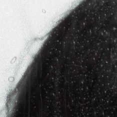 angelababy angelababy “我沿着星河捡着你遗落在月亮旁的浪漫