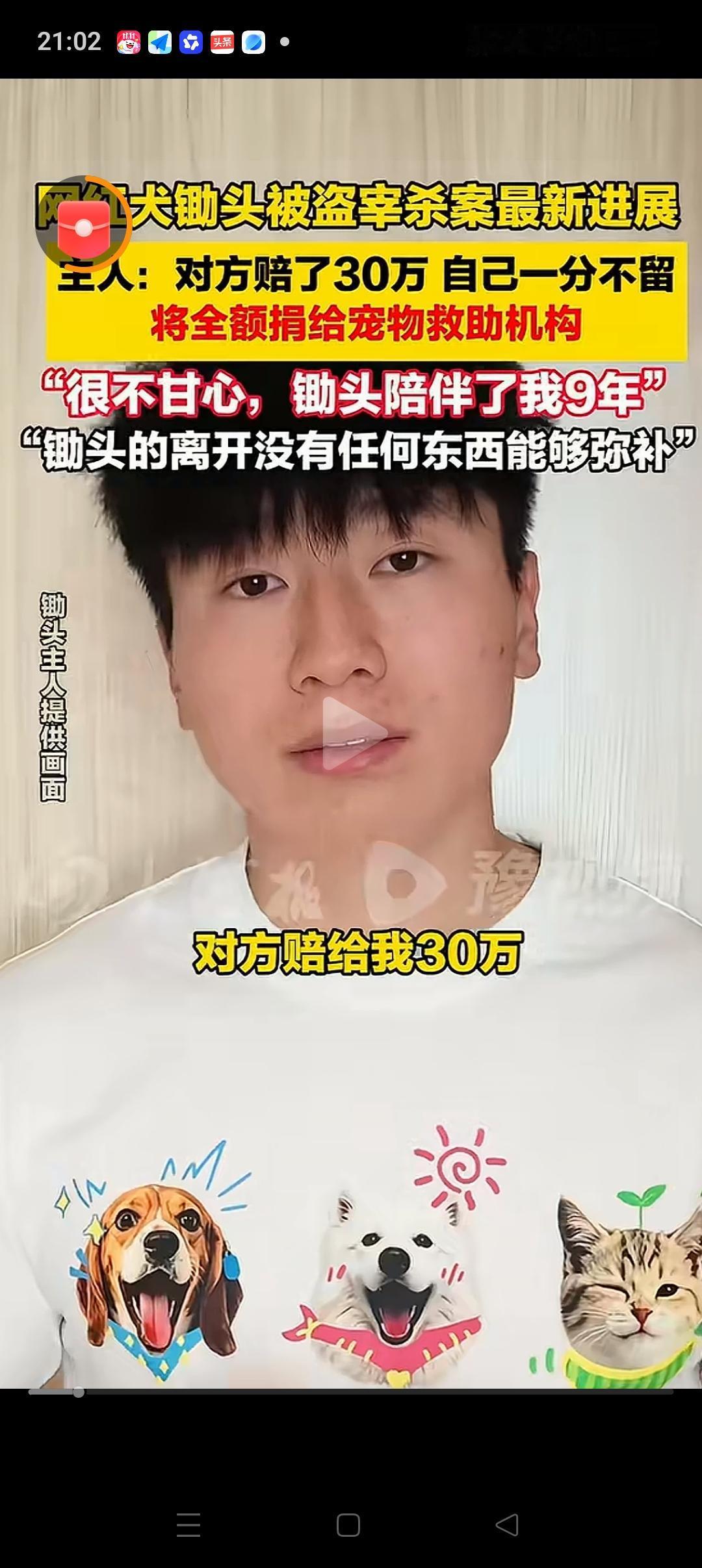 好消息：网红边牧“锄头”狗主人获得了30万的赔偿。
坏消息：他把钱都给捐出去了。