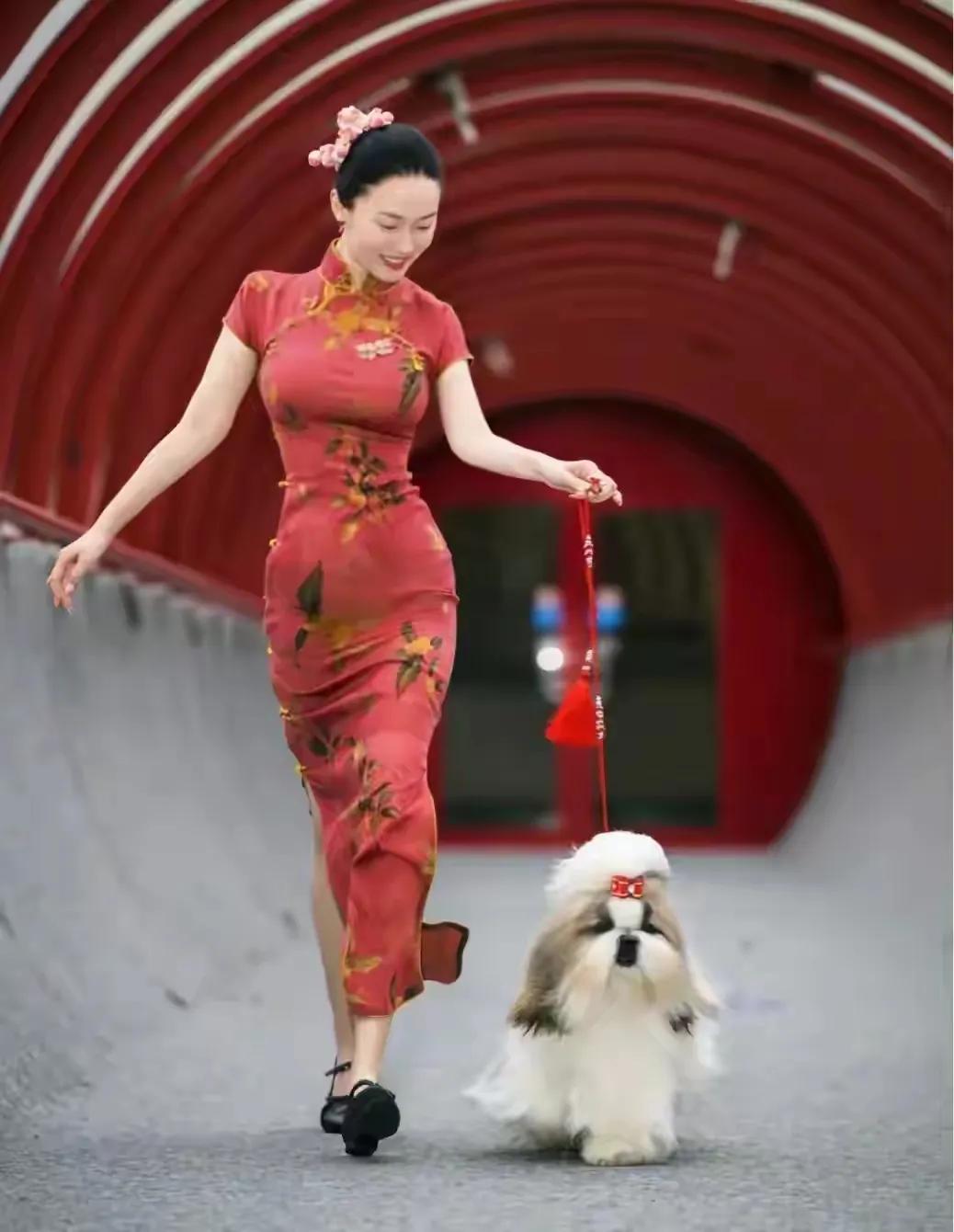 霍思燕带着她的狗去比赛，还拿了大奖。
杜江也发文庆祝，还叫霍思燕“小美妞”，霍思