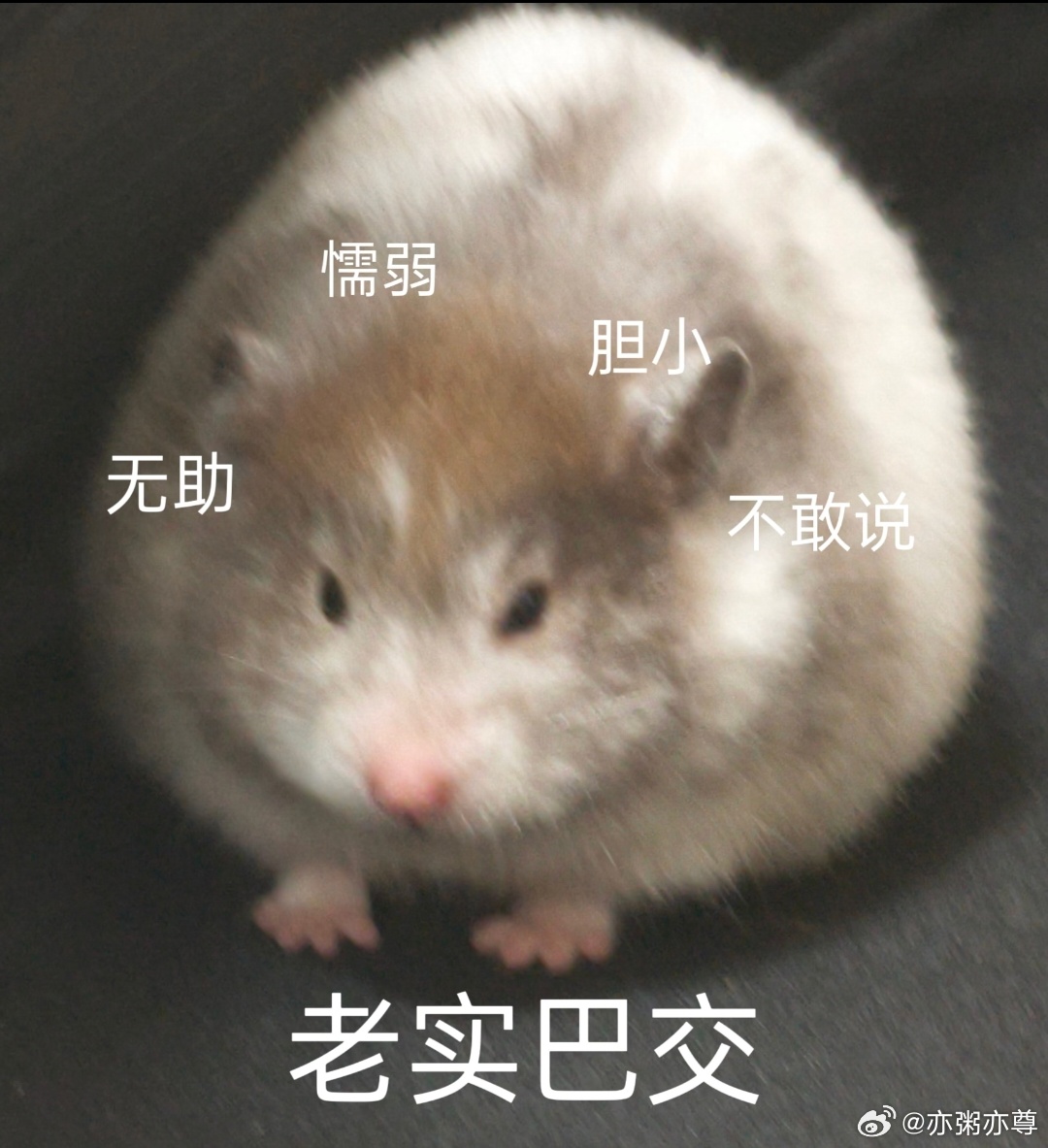 我刚才躲在窗帘后面给你们发消息他：粥粥你耳朵聋是吧！人呢 ​​​