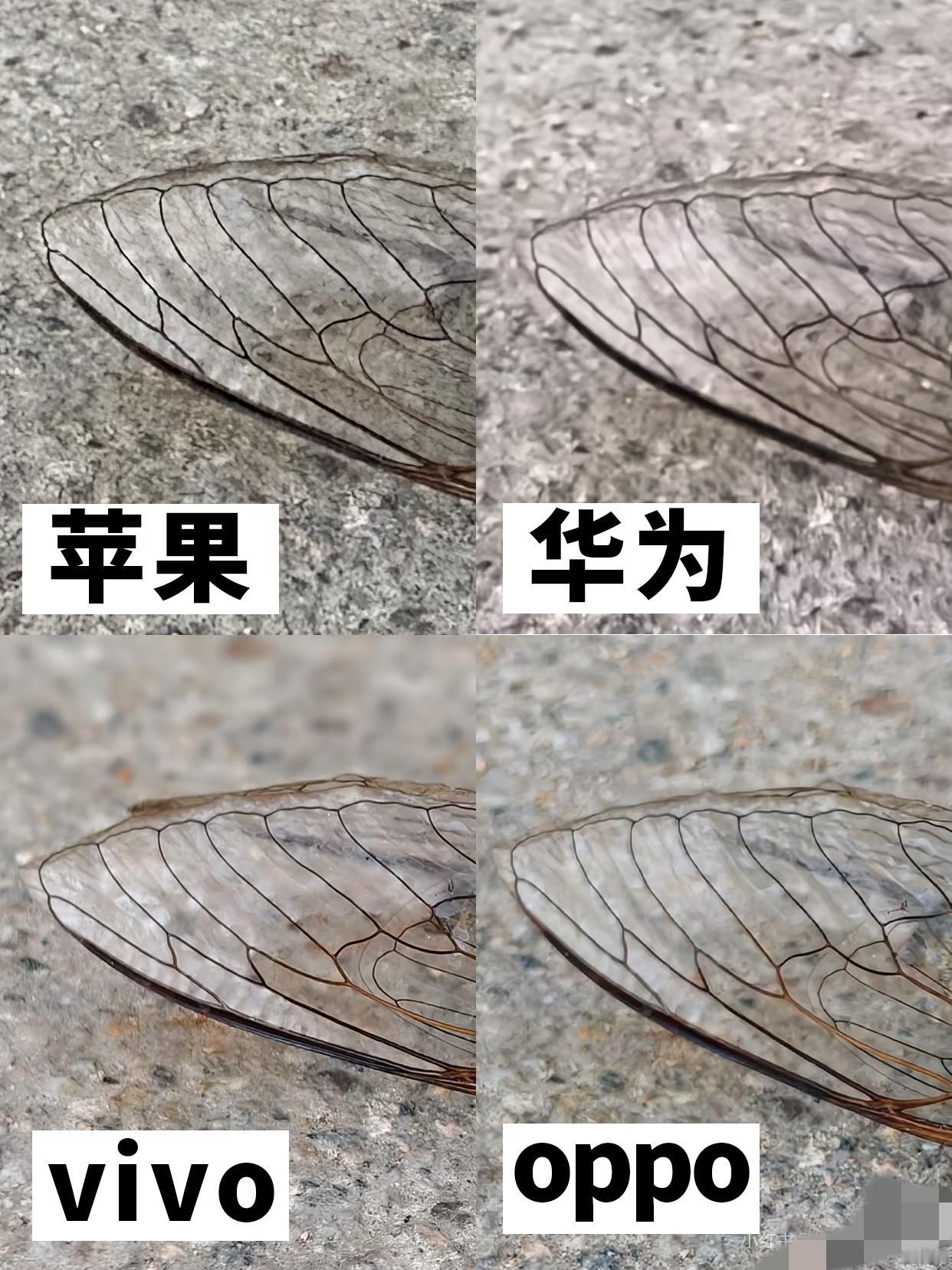 总体表现上，OPPO>vivo>苹果>华为

📱华为Mate70
📱iPho