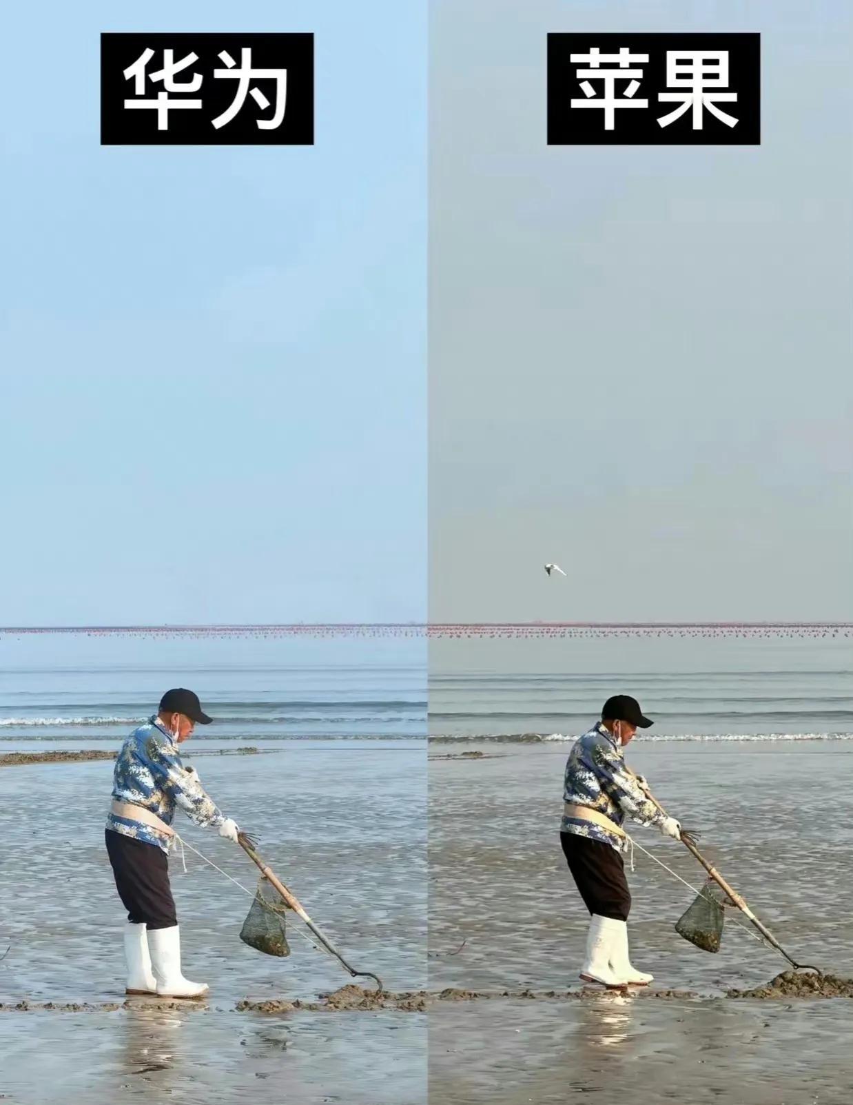 去海边拍照还是别用苹果手机了吧！！

📱华为P60Pro
📱iPhone14