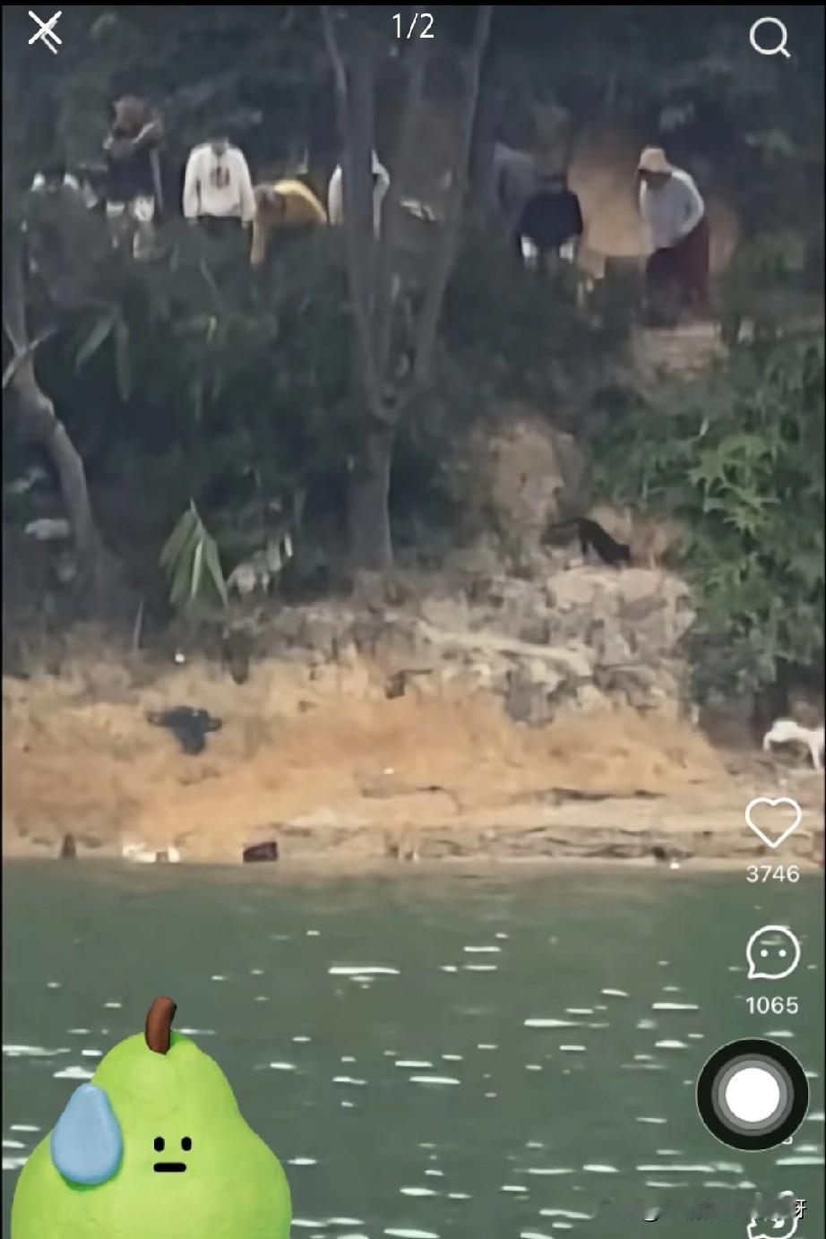 一边放着大悲咒，一边虐猫！

刚刚，看到一个令人震惊的视频：广东清远某水库， 一